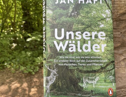 Ein Plädoyer für den Schutz und die Wiederherstellung naturnaher Wälder
