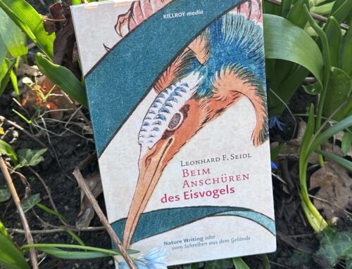 Wie ein Eisvogel eintauchen in Geschichten und Poetik des Nature Writing